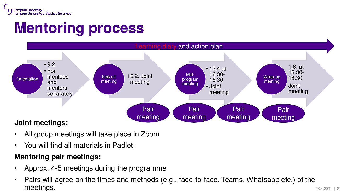 mentoring process